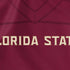 Florida State University Red Jersey Nintendo 2DS XL (2017) Skin